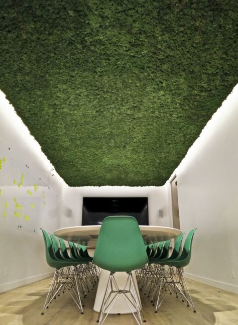 Moss Ceiling, Creative Wall Design, Office Ceiling, Ceiling Murals, Reindeer Moss, French Country Garden, Moss Wall Art, Kids Bedroom Design, Moss Wall