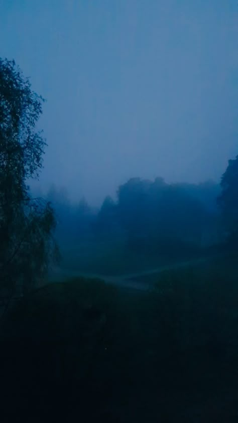 Summer night landscape with fog that has turned the scene blue. Misty Night Aesthetic, Blue Foggy Aesthetic, Foggy Blue Aesthetic, Blue Fog Aesthetic, Blue Hour Forest, Foggy Night Aesthetic, My Mind Aesthetic, Foggy Aesthetic, Foggy Sky