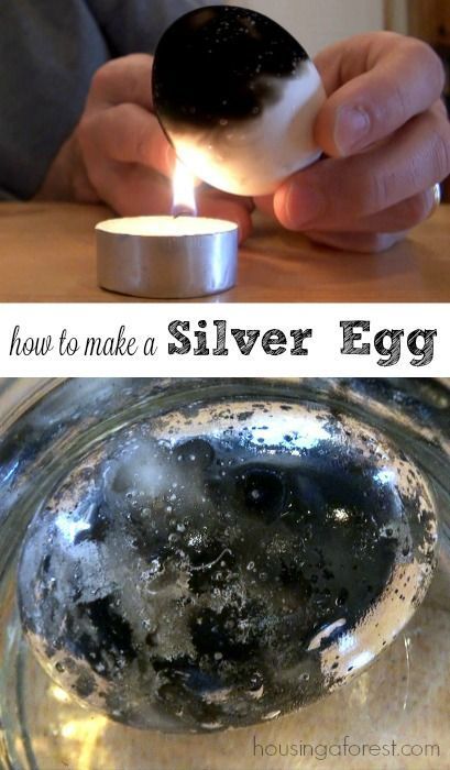 Silver Egg Experiment - this is such a cool science experiment! Science Experiments Adults, Science Experiments With Eggs, Science Experiments For Adults, Science Experiments For Teens, Egg Science, Egg Experiment, Vetenskapliga Experiment, Anatomy Biology, Experiment Science