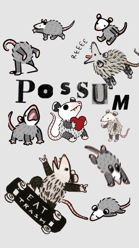 #possum Connect With People, Your Aesthetic, Creative Energy, Created By, Energy, Animals