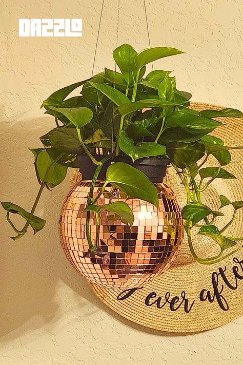 Dazzlo Hanging Disco Ball Planter showcasing a stylish blend of a disco ball and a hanging planter, holding lush green plants, ideal for modern interior decor. 
#HomeDecorGlam #IndoorPlantStyle #ModernInterior #UniquePlantDisplay #HangingPlanterMagic #GlamorousGreenery #ElevateYourSpace Disco Planter, Disco Ball Hanging, Disco Ball Planter, Disco Ball Decor, Small Succulents, Hanging Planter, Light Reflection, Hanging Planters, Disco Ball