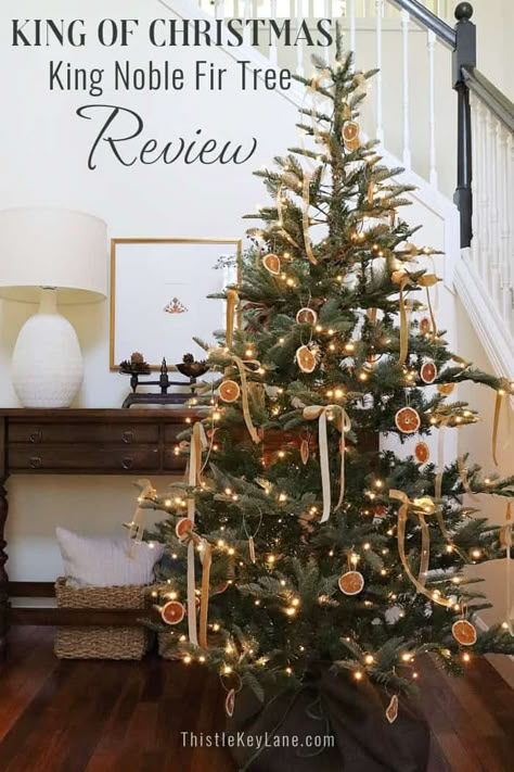 King Noble Fir Artificial Christmas Tree, Artificial Pine Christmas Tree, Faux Noble Fir Christmas Tree, King Of Christmas Tree, King Noble Fir Christmas Tree, Decorating A Noble Fir Christmas Tree, Old Timey Christmas Tree, King Of Christmas Noble Fir, Fairy Lights Christmas Tree