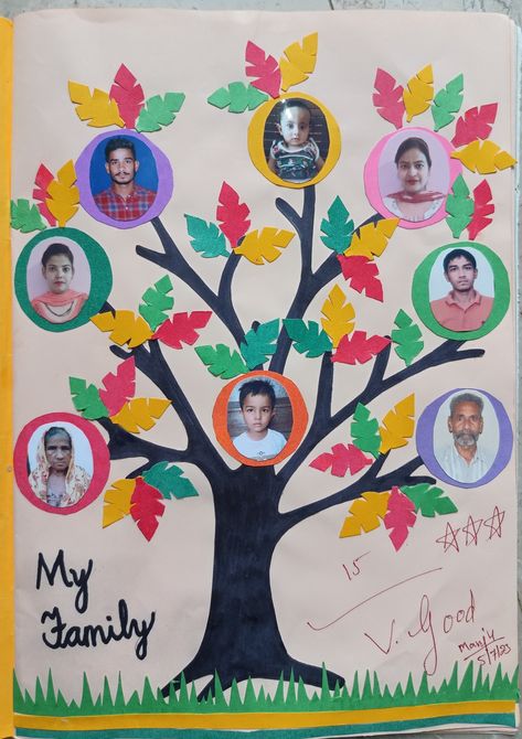 How To Make A Family Tree For School, Family Collage Ideas For School, Family Tree Ideas For Kids School, Family Tree Craft Preschool, Family Tree Project For School, Family Tree Ideas For Kids, Diy Family Tree Project, Kids Craft Work, Family Tree Drawing