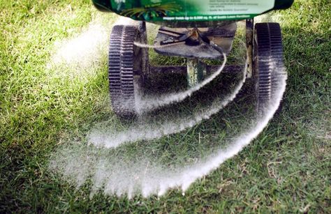 8 Disturbing Facts About Monsanto's Evil Twin—The Chemical Fertilizer Industry Round Lawn, Fall Lawn Care, Fall Lawn, Potassium Nitrate, Lawn Food, Hgtv Garden, Lawn Fertilizer, Gardening Inspiration, Types Of Grass