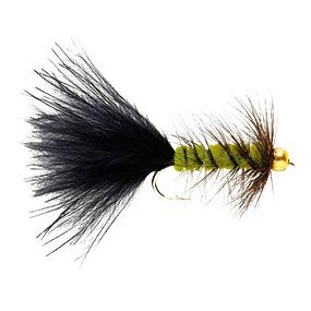 Tom Rosenbauer's 12 Essential Trout Flies - Orvis News Fly Fishing For Beginners, Fishing Hook Knots, Fly Tying Desk, Fishing Basics, Fly Casting, How To Fish, Fly Fishing Flies Pattern, Fly Fishing Lures, Different Fish