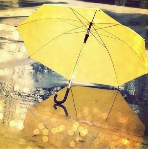 Rainy day in LA! Yellow umbrella! Area Formulas, Character Of A Person, Pre Calculus, Umbrella Photography, Uv Umbrella, Color Splash Photography, I Love Rain, Yellow Umbrella, Algebra 2