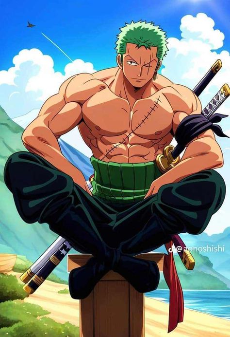 Zoro Physique, Zoro Full Body, Roronoa Zoro Hot, Zoro Matching Pfp, Zoro Birthday, Zorro Roronoa, Zoro Hot, Tim Dekay, Zoro Drawing