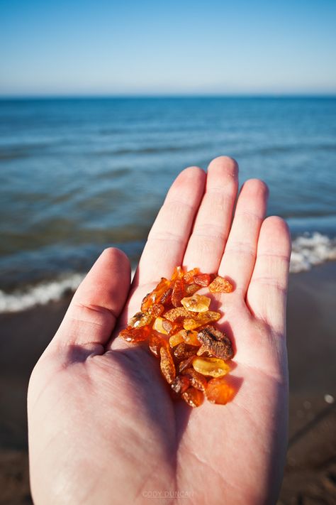 Travel Points, Baltic Countries, New Bus, Mobile Photos, Getting Up Early, Calm Water, Hand Holding, Bus Station, On Beach