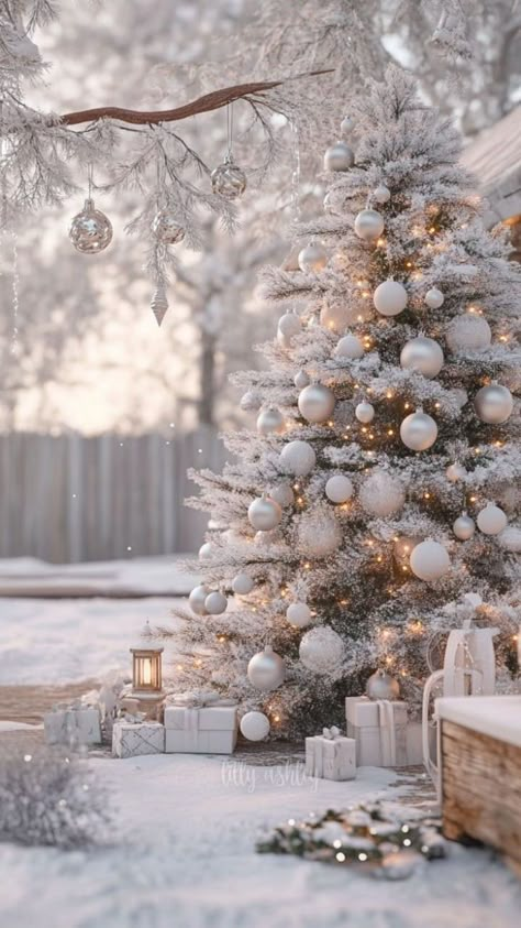 Snow covered trees