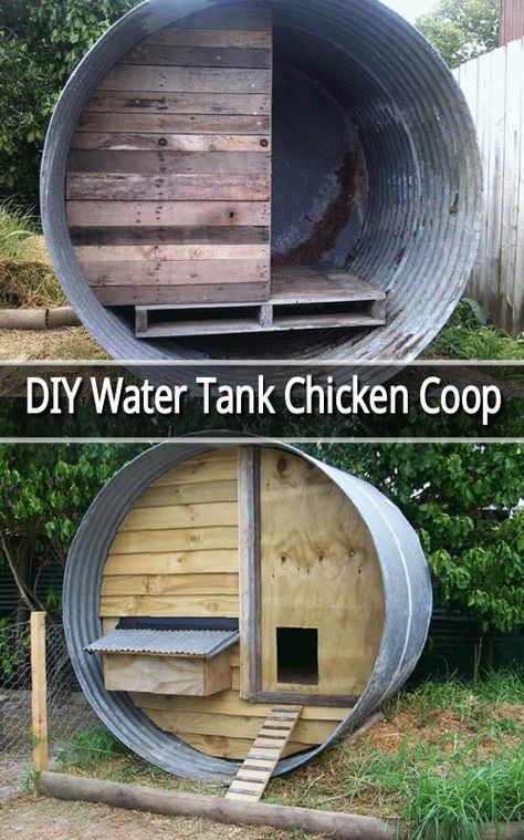 DIY Water Tank Chicken Coop Chicken Coop Pallets, Portable Chicken Coop, Diy Chicken Coop Plans, Homesteading Diy, Coop Design, Atami, Chicken Coop Designs, Coop Plans, Permaculture Design