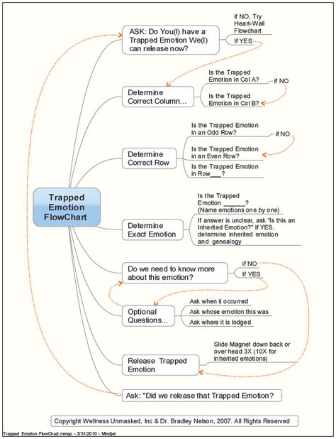 flowchart Trapped Emotions, Emotion Code, Body Code, Emotion Chart, Mindset Inspiration, Understanding Emotions, Access Consciousness, Beautifully Broken, Healing Codes