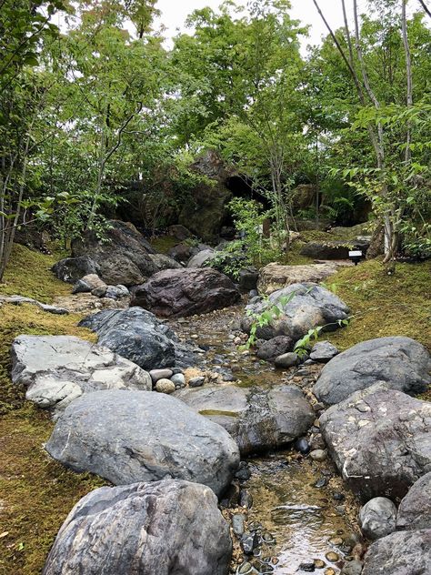 Rain Garden Design, Garden Stream, Japanese Rock Garden, Naturalistic Garden, Small Japanese Garden, Rain Gardens, Dry Creek Bed, Australian Native Garden, Environment Reference