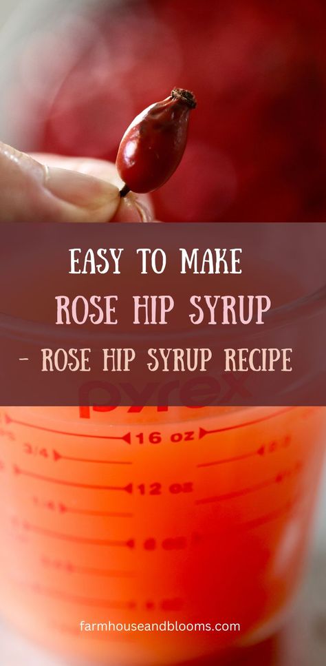 two pictures, one of a rose hip, and one of a cup of rose hip infusion Rose Hips Benefits, Rose Syrup Recipe, Rosehip Recipes, Rosehip Syrup, Edible Roses, Wild Food Foraging, How To Make Rose, Foraged Food, Rose Bushes