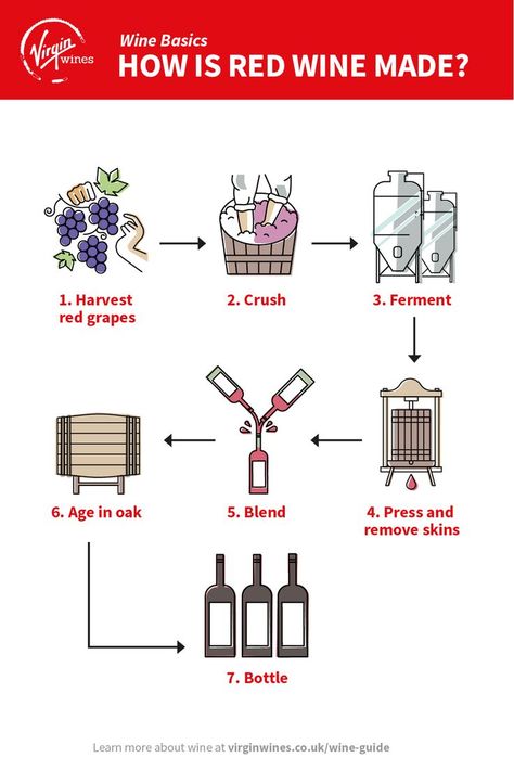 Wine Process, Chemistry Project, Wine Basics, Chemistry Projects, Wine Making Process, Grape Uses, Wine Knowledge, Wine Guide, Fun Sleepover Ideas