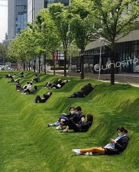 Lawn With Trees, Public Garden Architecture, Urban Landscape Design, Garden Architecture, Landscape Architecture Design, Public Garden, Parking Design, Lunch Break, Urban Planning