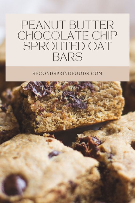 Sprouted Rolled Oats Recipes, Sprouted Oats Recipes, Sprouted Rolled Oats, Sprouted Oats, Sprouted Recipes, Kids Breakfast, Granola Recipe Bars, Peanut Butter Cookie, Oats Breakfast