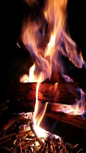 Night fire [Video] | Fire photography, Cool pictures of nature, Nature photography Fire Pictures Photography, Fire With Friends, Fire At Night, Relax Night, Fire Night, Freedom Photography, Fire Love, Pictures Of Nature, Fire Photography