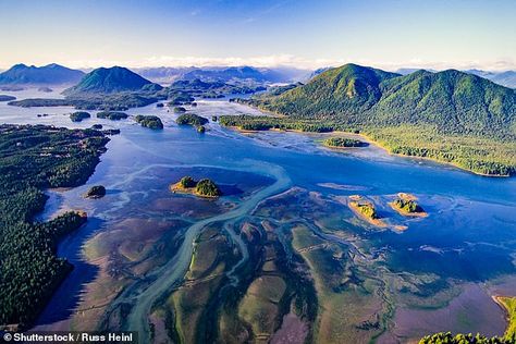 Pacific Rim National Park, Travel Facts, Healing Waters, Learn To Surf, Surf Trip, Whale Watching, Birds Eye View, Vancouver Island, Walking In Nature