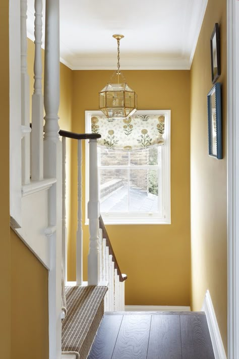 Mustard Hallway Ideas, Mustard Hallway, House Hallway Ideas, Hall Colours, Hallway Colors, Hallway Wall Colors, Yellow Hallway, Yellow Walls Living Room, Bedroom Paint Colours