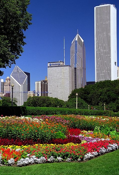 Chicago - Grant Park Flowers & City Skyline Grant Park Chicago, Chicago Baby, Grant Park, Chicago Travel, Chicago Photography, My Kind Of Town, Chicago Skyline, City Park, The Windy City