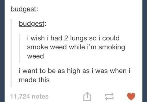 How High Are You, Funny Tumblr Posts, My Chemical, Philosophers, I Wish I Had, I Want To Be, Lungs, Funny Pins, Tumblr Funny