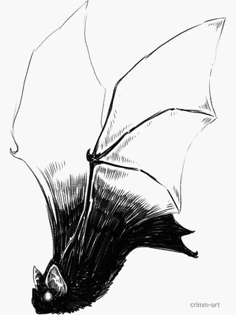 Bat Sketch, Bat Eyes, Bat Sticker, Bat Tattoo, Bat Art, Ap Studio Art, Horse Tattoo, Vampire Bat, Elements Of Art