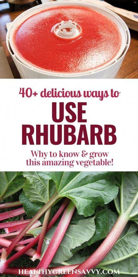 Healthy Rhubarb Recipes, Rhubarb Rhubarb, Best Rhubarb Recipes, Low Calorie Vegetables, Rhubarb Desserts, Rhubarb Recipes, Incredible Recipes, Garden Recipes, Healthy Vegetables