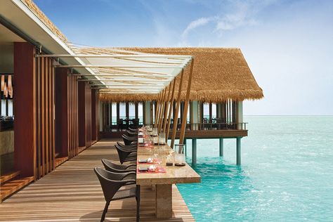 Maldives Hotel, Peninsula Hotel, Beach Restaurant, Ocean Resort, Waterfront Restaurant, Universal Studios Orlando, Outdoor Restaurant, Hotel Interior, Hotels Design