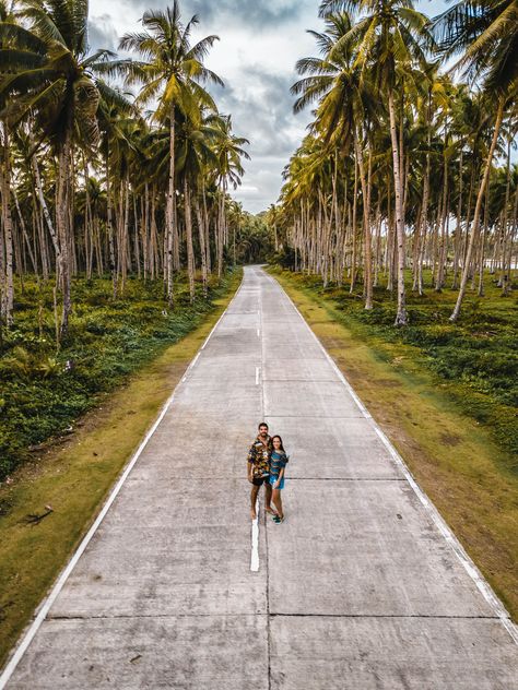 Hi! From the cutest Road in Siargao :) Farm Philippines, Coconut Farm, Tree Road, Farm Road, Siargao, Coconut Tree, Money Cash, Goa, Agriculture