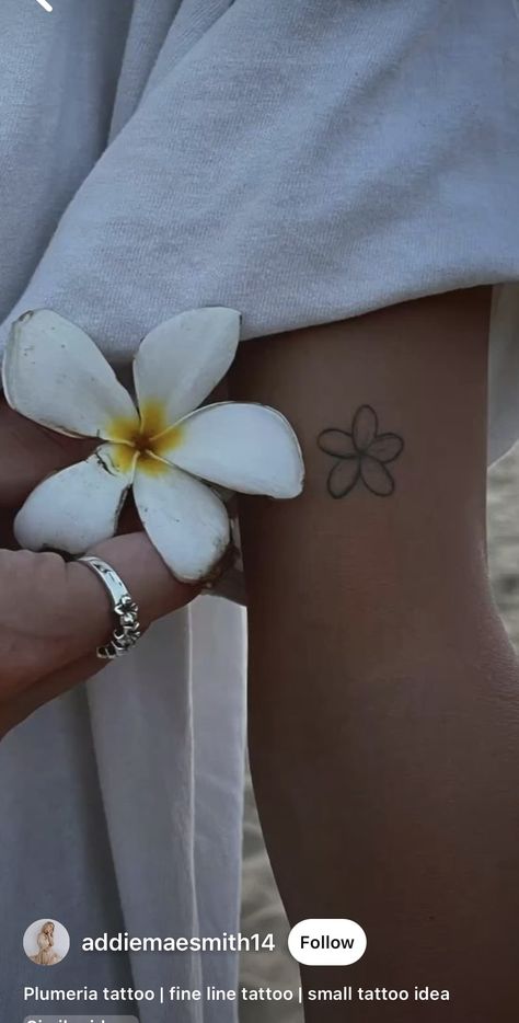 Kalachuchi Flower, Plumeria Flower Tattoos, Frangipani Tattoo, Tropical Flower Tattoos, Beachy Tattoos, Hawaiian Flower Tattoos, Plumeria Tattoo, Delicate Tattoos For Women, Small Girly Tattoos