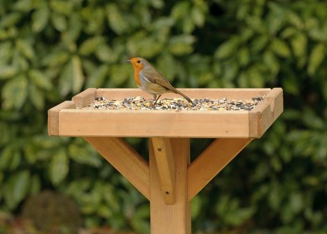 Jamie Wyver from the RSPB highlights the best ingredients to feed garden birds with this winter when natural food sources are low Bird Feeding Table, Rustic Bird Feeders, Backyard Birds Sanctuary, Bird Feeding Station, Bird Tables, Garden Swing Seat, Hanging Bird Feeders, Garden Birds, Bird Care