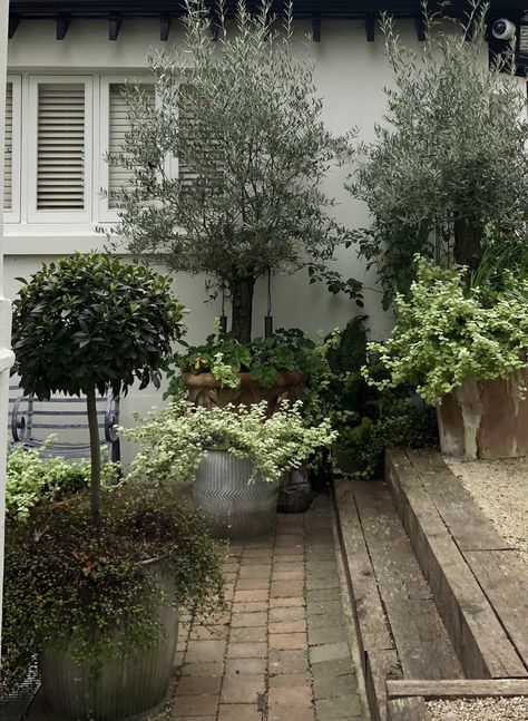 Courtyard detail with beautiful foliage Sunny Courtyard Garden, Brick Courtyard, French Courtyard, Walled Courtyard, Courtyard Landscaping, Small Courtyard Gardens, Courtyard Gardens Design, Front Courtyard, Courtyard Design