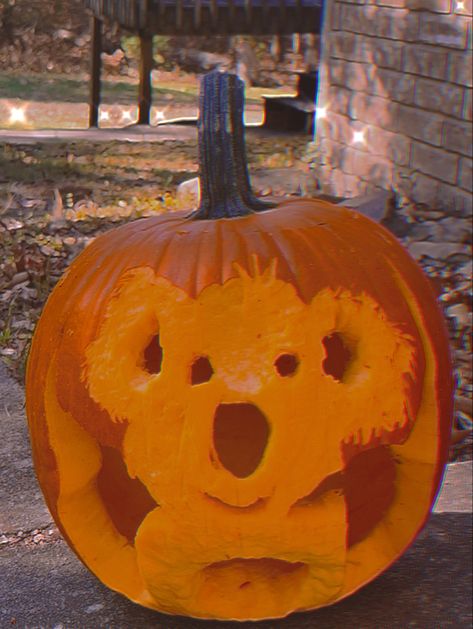 Pumpkin Cravings, Koala Bear, Koala, Pumpkin Carving, Carving, Halloween, Birthday