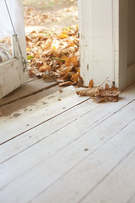 Is when the leaves wait at the back door, waiting for an opportunity to scurry in Leaves On The Ground, Camp Wandawega, Open Door, Autumn Beauty, Best Seasons, Autumn Aesthetic, On The Ground, Hello Autumn, Autumn Inspiration