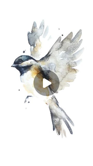 Watercolor Birds Tutorial Step By Step How To Paint, Watercolor Art Birds, Cute Bird Drawing, Birds In Watercolor, Watercolor Birds Tutorial, Watercolour Birds, Chickadee Art, Bird Watercolor Art, Arches Watercolor