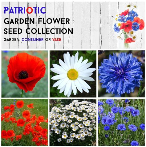 Flag Pole Landscaping, Flagpole Landscaping Ideas, 4th Decorations, Honor Veterans, Patriotic Garden, Blue Flowers Garden, Garden Front Of House, Purple Flowers Garden, Patriotic Flowers