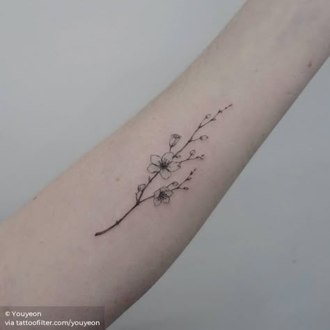 Small Floral Tattoo, Cherry Blossom Tattoos, Sakura Tattoo, Cherry Tattoos, Lavender Tattoo, Branch Tattoo, Single Needle Tattoo, Small Flower Tattoos, Flower Tattoo Shoulder