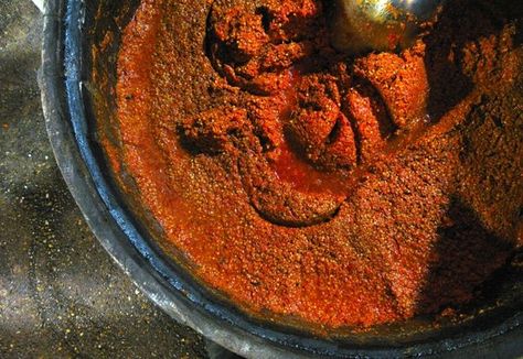 Fermented Hot Sauce - How to Make Hot Sauce Tabasco Style Tabasco Sauce Recipe, Make Hot Sauce, Fermented Hot Sauce Recipe, Preserving Peppers, Fermented Hot Sauce, Fermenting Foods, Tabasco Hot Sauce, Tabasco Pepper, Fermented Kimchi