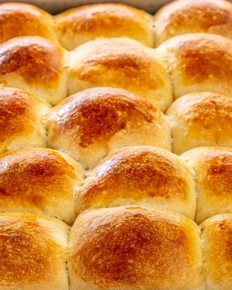 Hawaiian Sweet Rolls Homemade Hawaiian Rolls, Stand Mixer Bread, Hawaiian Dinner, Chicken Tortillas, Homemade Yeast Rolls, Sweet Roll Recipe, Bread Rolls Recipe, Jo Cooks, Chicken Tortillas Soups Recipe