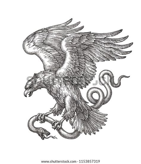 Mexican Eagle With Snake Tattoo, Mexican Eagle And Snake Tattoo, Mexican Bird Tattoo, Mexican Eagle Drawing, Mexican Eagle Tattoo Design, Eagle Sketch Tattoo, Eagle With Snake Tattoo, Eagle Snake Tattoo, Eagle And Snake Tattoo