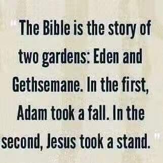 Can I Get An Amen, Everlasting Life, Bible Facts, The Tree Of Life, Bible Knowledge, Bible Truth, Biblical Quotes, Christian Quotes Inspirational, Bible Lessons