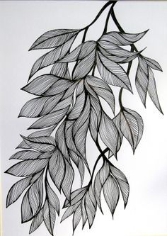 Zen Tangle Leaves, Line Leaves Drawing, Butterfly Ink Drawing, Leaves Ink Drawing, Tree Leaf Drawing, Tree Leaves Drawing, Line Leaf Drawing, Leaf Zentangle, Zentangle Tree