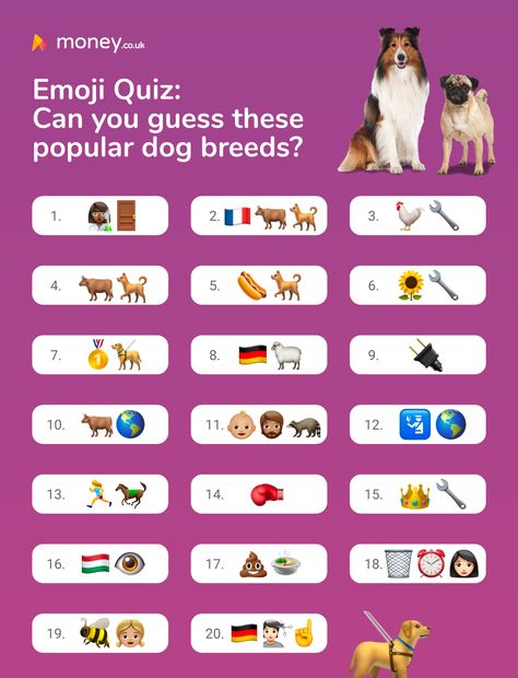 Emoji quiz! Can you guess the 20 dog breed from the icons? Dog Trivia, Dog Breed Quiz, Dog Quiz, Pet Store Ideas, Curiosity Approach, Dog Emoji, Emoji Quiz, Dog Walking Business, Emoji Set