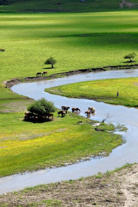 Prairie and river of Neimenggu or Inner Mongolia. Travelling List, Landscape Design Competition, Frisian Flag, Explore China, Grass Wallpaper, Mountain Wallpaper, Travelling The World, Natural Aesthetic, Forbidden City