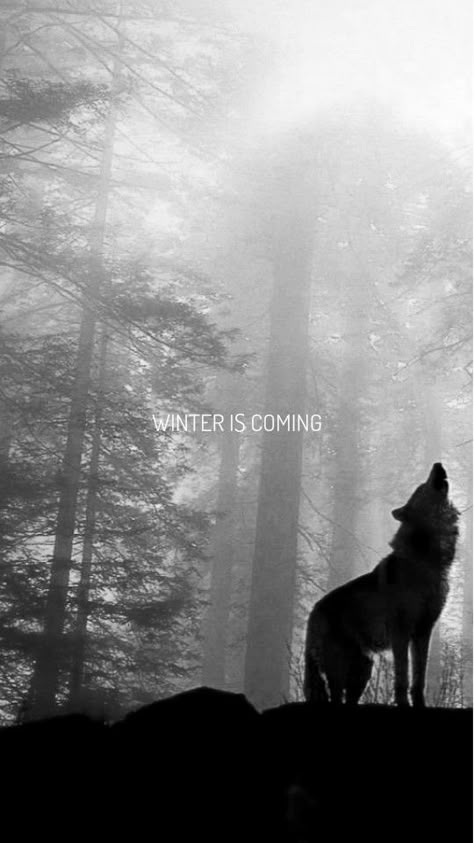 winter is coming. Game Of Thrones Wallpaper Desktop, Game Of Thrones Wallpaper Pc 4k, Game Of Thrones Landscape Wallpaper, Game Of Thrones Laptop Wallpaper Hd, Game Of Thrones Computer Wallpaper, Pixel Wallpaper, Game Of Thrones Winter, The Winds Of Winter, Game Of Thrones Poster