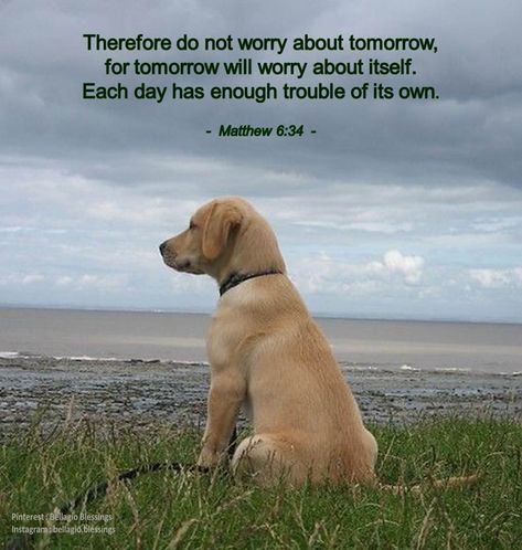 Scripture Blessings, Do Not Worry About Tomorrow, Uplifting Sayings, Gods Quotes, Best Bible Quotes, Quote Bubble, Do Not Worry, Gods Word, Matthew 6