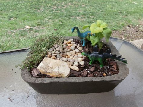 Dinosaur Miniature Garden in Concrete Trough by StinsonGardens, $18.00 Concrete Trough, Dinosaur Fairy Garden, Dinosaur Garden, Miniature Zen Garden, Fairy Garden Ideas, Bog Garden, Play Garden, Miniature Fairy Garden, Mini Gardens