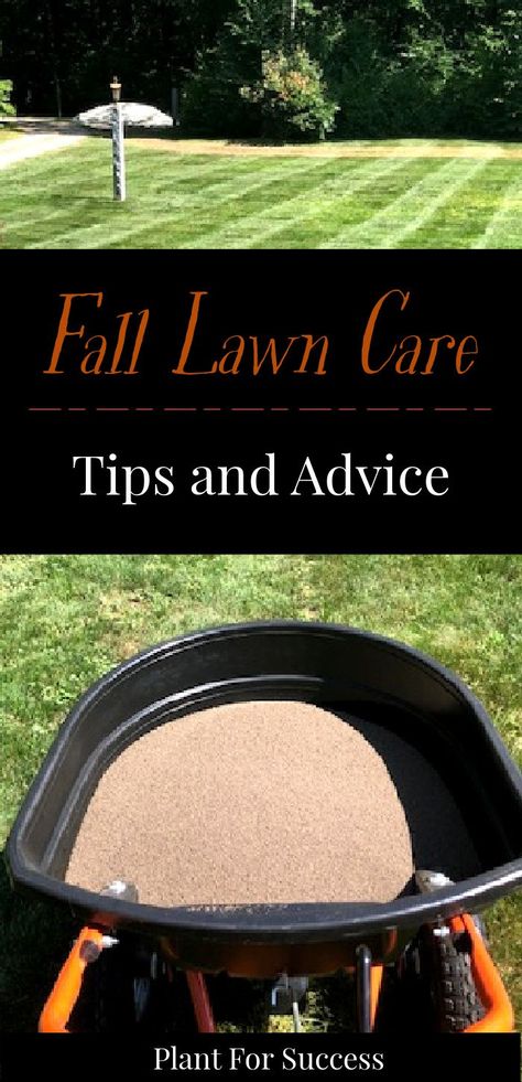 Overseeding Lawn Fall, Lawn Overseeding, Fall Lawn Maintenance, Winter Lawn Care, Overseeding Lawn, Lawn Weeds, Fall Lawn Care, Fall Lawn, Utah House