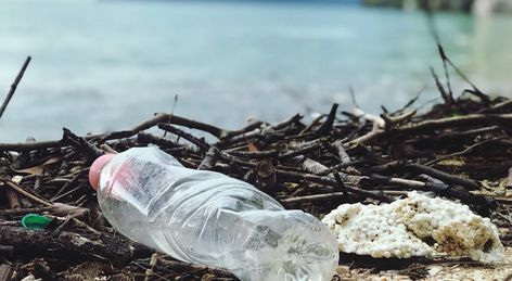 5 ways to avoid single-use plastic. Did you know that plastic takes roughly 450 years to decompose? Or that billions of pieces of plastic are congesting our oceans and rivers, all the while piling up on land? Researchers predict that by the year 2050, there will be 12 billion tonnes of plastic waste in the natural environment. Ocean Pollution, Waste Disposal, Plastic Pollution, Crypto News, Sunday School Lessons, Recycled Bottles, Times Of India, Plastic Waste, Machu Picchu