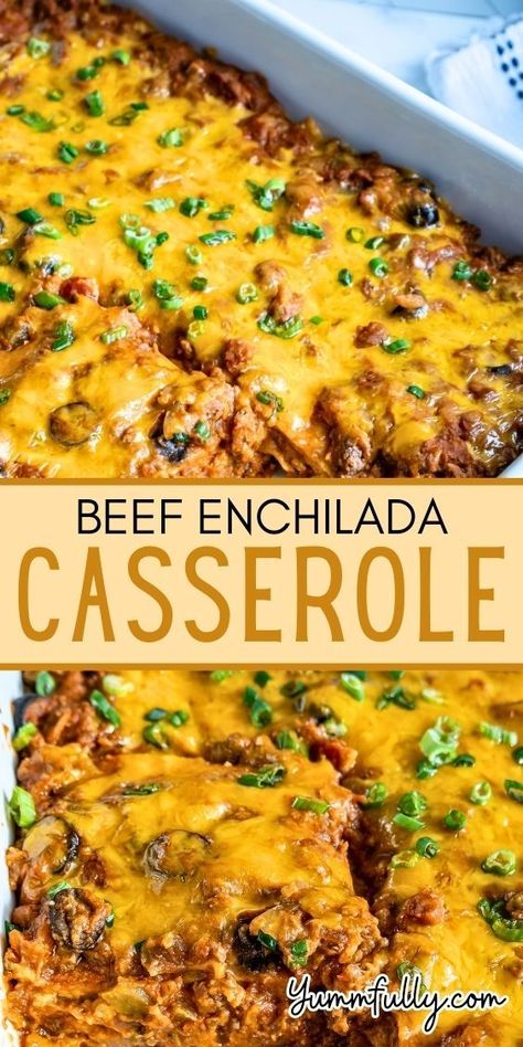 Experience the savory combined layers of seasoned beef, melted cheese, and zesty enchilada sauce in our Beef Enchilada Casserole, a crowd-pleasing dish that’s both easy to make and impossible to resist. Click here to discover more delectable recipes that will add a flavorful twist to your recipes’ list. Best Beef Enchilada Recipe, Enchilada Lasagna, Gourmet Burgers Recipes, Beef Enchilada Casserole, Easy Beef Enchiladas, Beef Enchilada Recipe, Ground Beef Enchiladas, Beef Enchilada, Recipes List